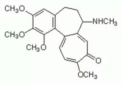 15210040