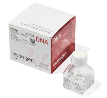 Lipofectamine® 2000