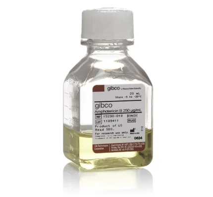 Fungizone Antimycotic liquid 15290018