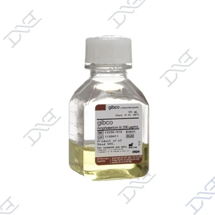 Fungizone Antimycotic liquid 15290018