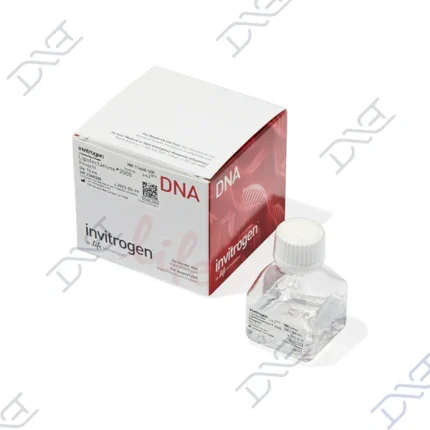 Lipofectamine® 2000