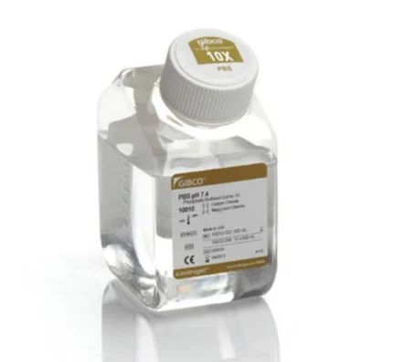 phosphate-buffered saline