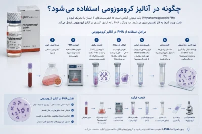 آنالیز کروموزومی چگونه انجام میشود