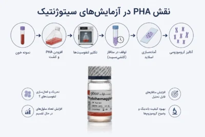 نقش PHA در آزمایش‌های سیتوژنتیک