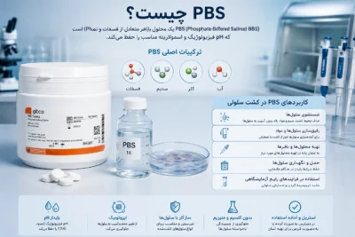 PBS چیست