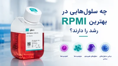چه سلول‌هایی در RPMI بهترین رشد را دارند؟