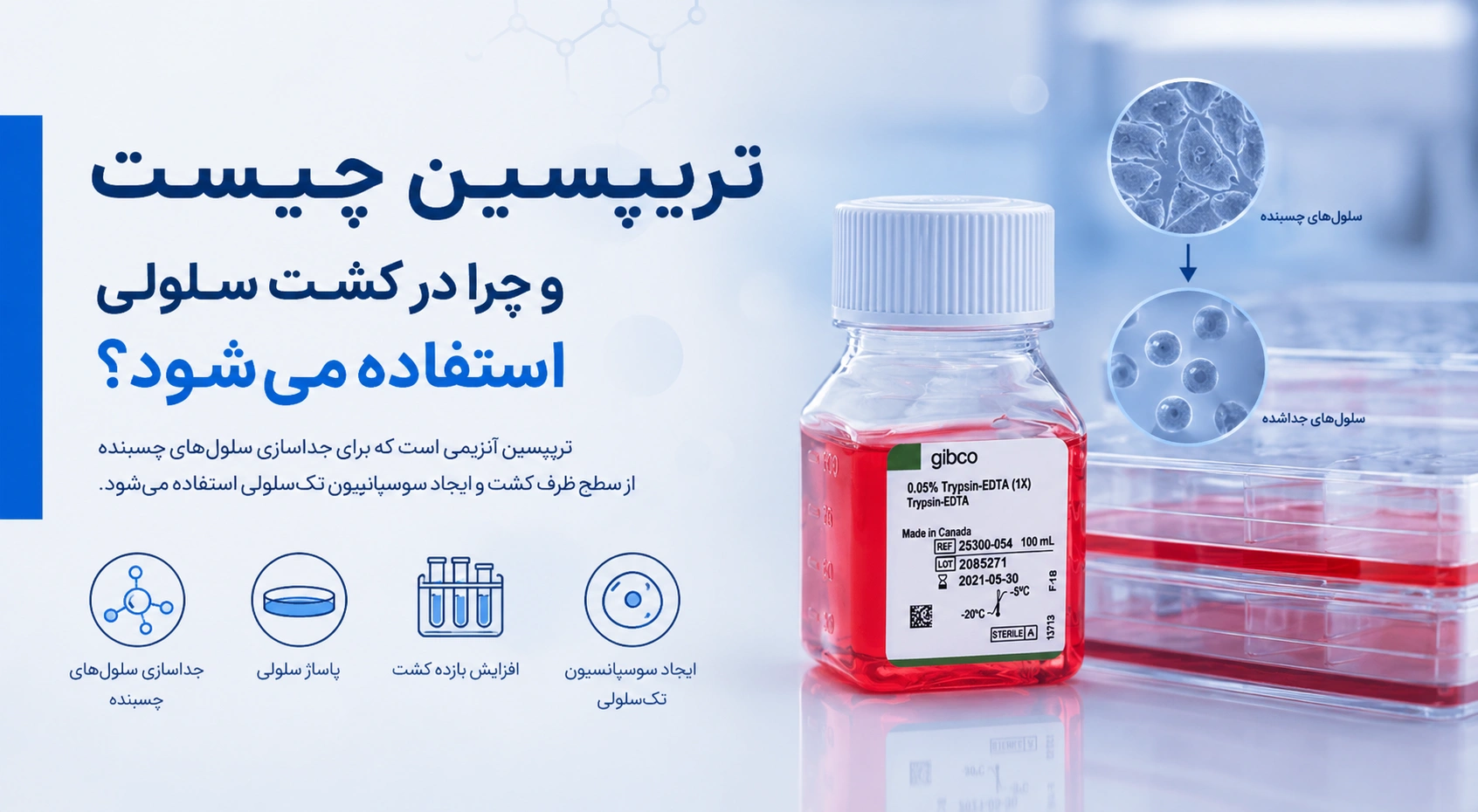 تریپسین گیبکو