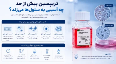 تریپسین