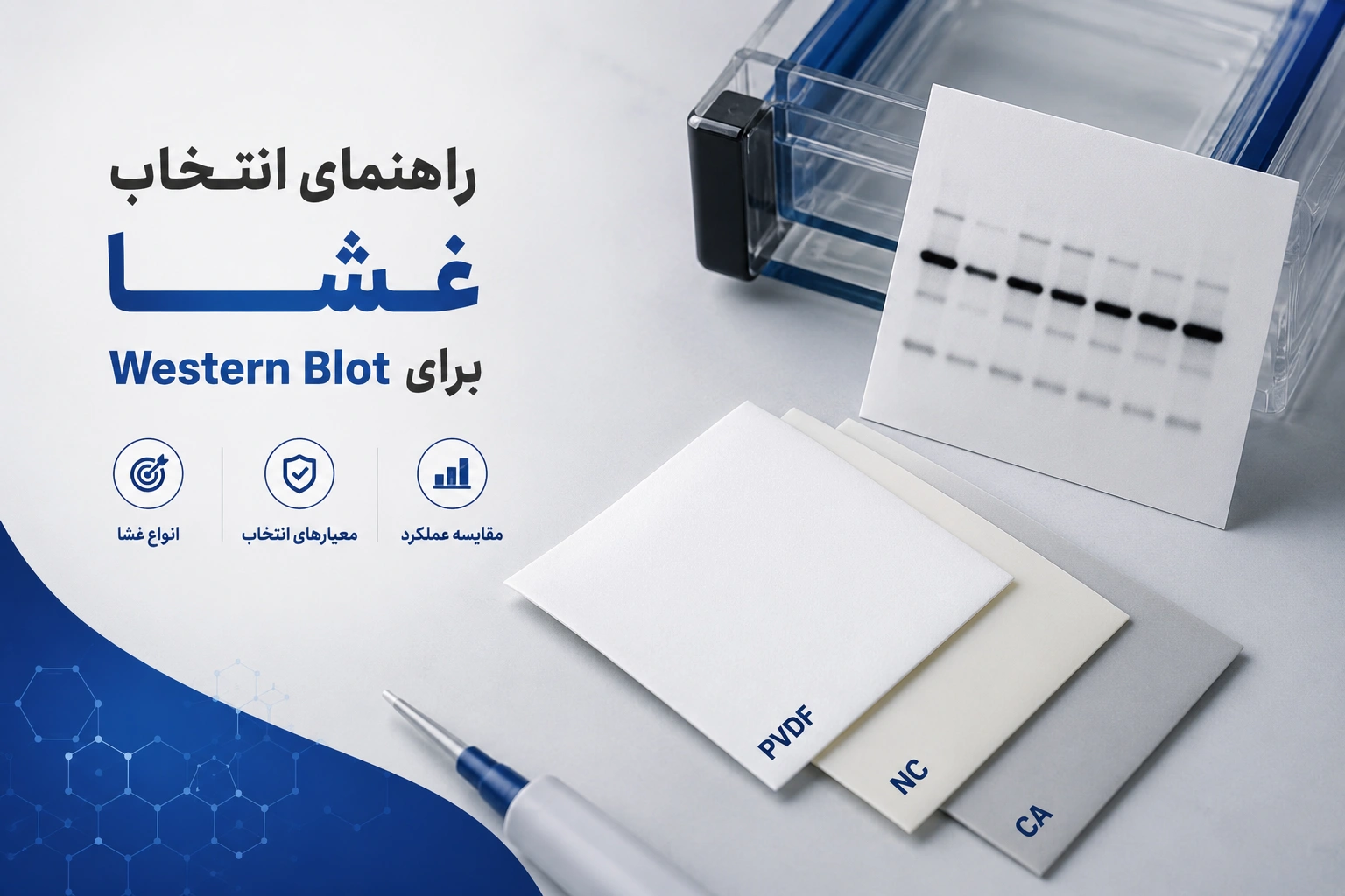 راهنمای انتخاب غشا برای Western Blot