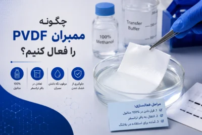 ممبران فیلتر