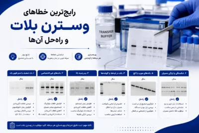 رایج‌ترین خطاهای وسترن بلات و راه‌حل آن‌ها