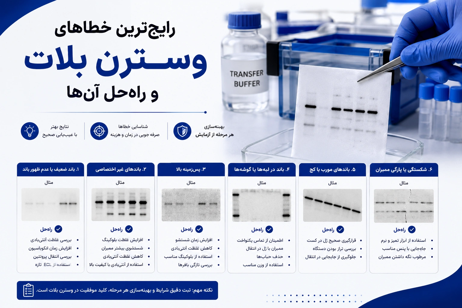 رایج‌ترین خطاهای وسترن بلات و راه‌حل آن‌ها
